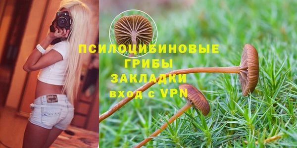 марки nbome Инта