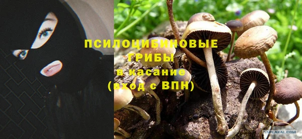 COCAINE Инсар