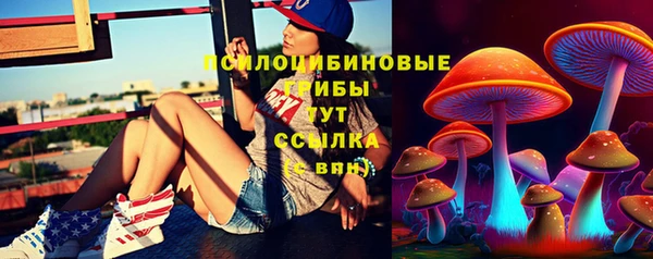 COCAINE Инсар
